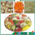 vegetable multifunctional cutter